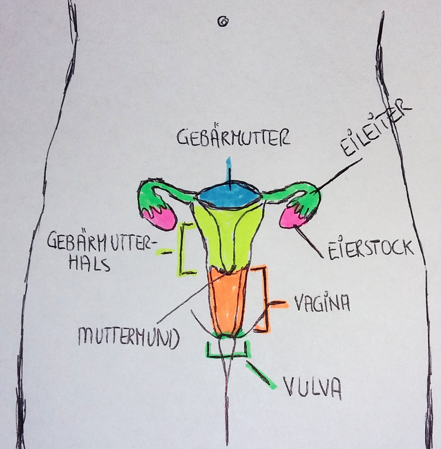 Die Weibliche Anatomie – Wohnzimmergespräche